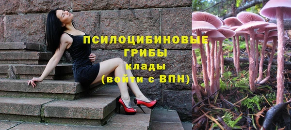 стаф Покровск