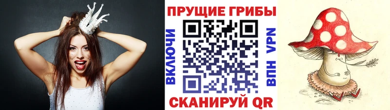 сколько стоит  Североуральск  Псилоцибиновые грибы MAGIC MUSHROOMS 